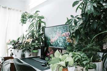 天涯论坛热议海南儋州发展,大家齐心共绘美好蓝图 第1张 天涯论坛热议海南儋州发展,大家齐心共绘美好蓝图 第1张